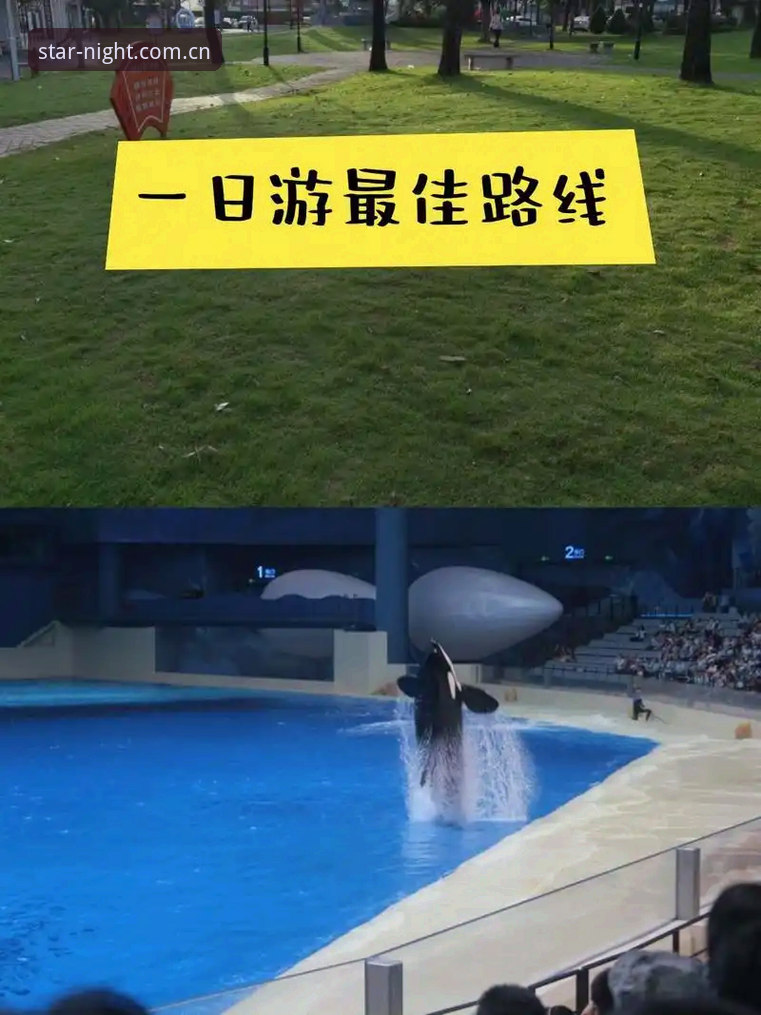 中国区星空APP数据入口 星空体育平台中国区入口使用指南:从找数据到避坑的完整新手教程